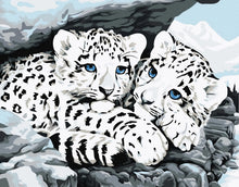 Lade das Bild in den Galerie-Viewer, &quot;Weisse Tigerbabies&quot; Leinwand Malen nach Zahlen Komplett-Set
